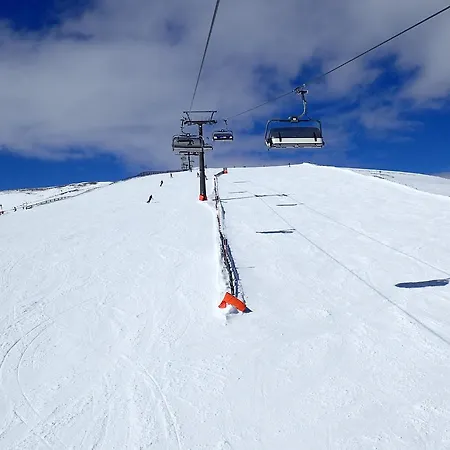 Veselý Svišť Lachtal