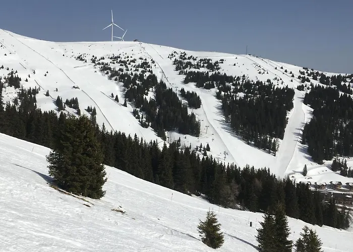 Chalet Vesely Svist Lachtal